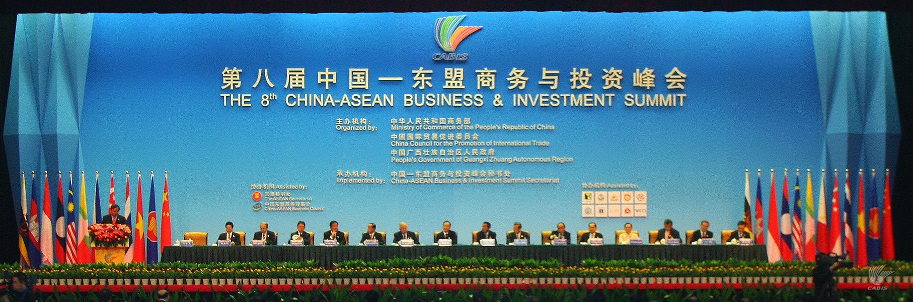 第8届CABIS开幕式（概览图）