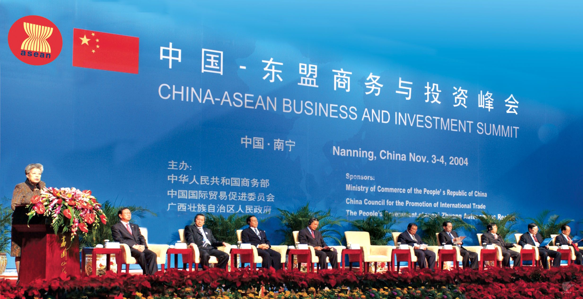 第1届CABIS开幕式（概览图）