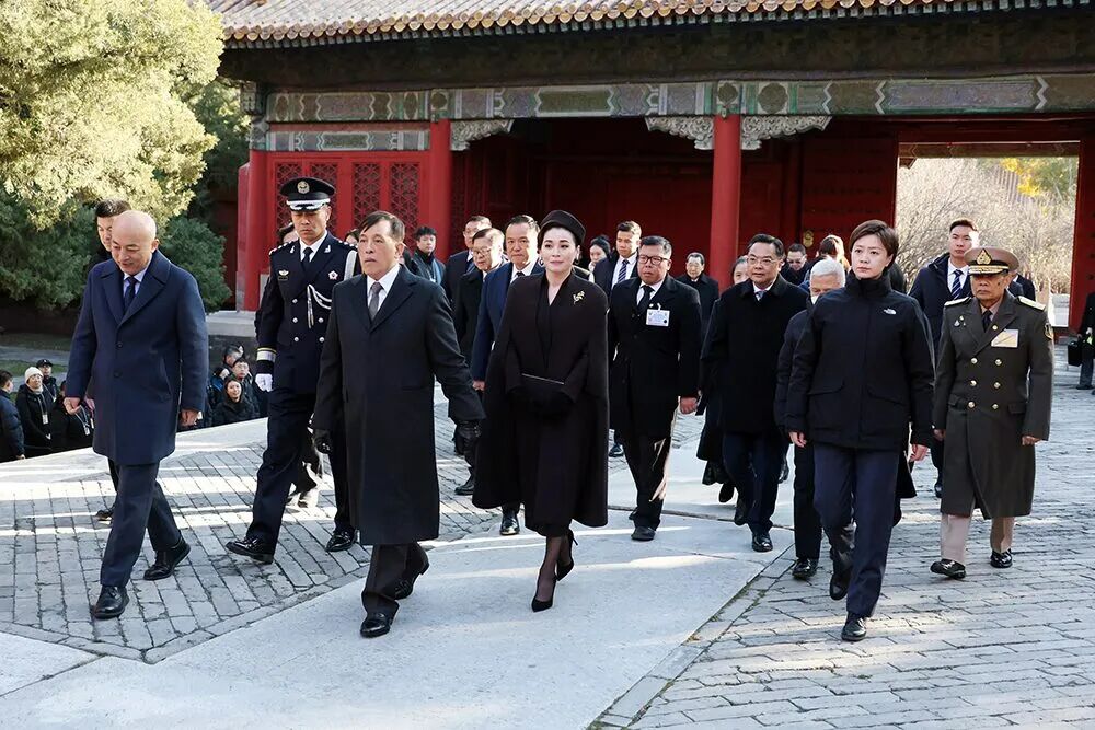 1763521617653766.jpg 1763521617653766.jpg