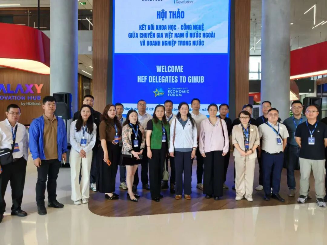 1765178840430109.jpg 1765178840430109.jpg