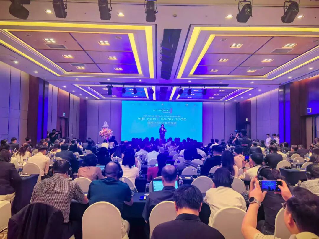 1765178865759146.jpg 1765178865759146.jpg