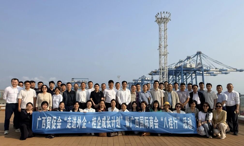 1774944097380041.jpg 1774944097380041.jpg